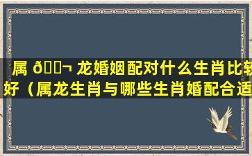 属 🐬 龙婚姻配对什么生肖比较好（属龙生肖与哪些生肖婚配合适）